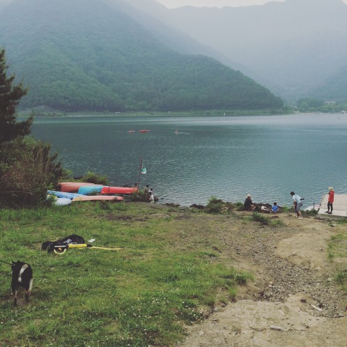 Camp With Dog Pica富士西湖 Blog The Tent トリミングサロン併設セレクトショップ